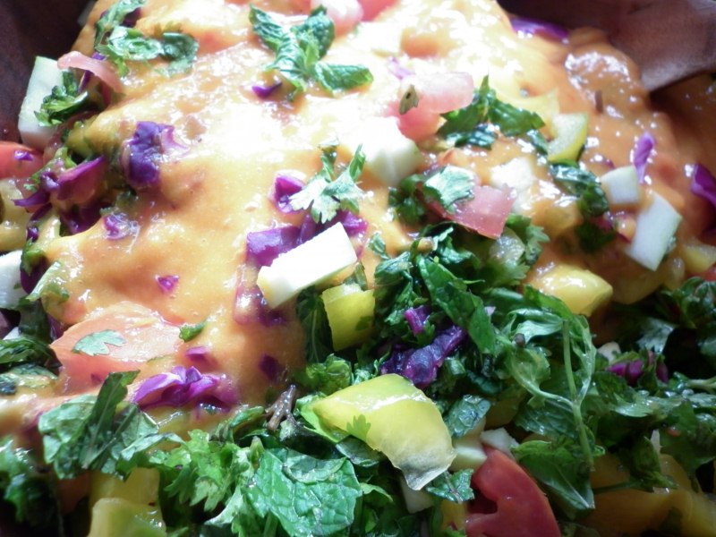 Rainbow Salad with Mango or Papaya Salsa Dressing